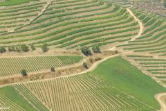 Portugal - Douro region