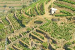 Portugal - Douro region