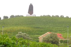Portugal - Rio Douro - Quinta da Pacheca