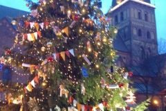 Latvia - Riga - Christmas tree on Cathedral Square