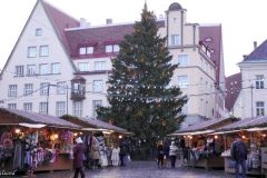 Estonia - Tallinn - Christmas market on the Town Hall Square