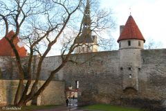 Estonia - Tallinn - City wall