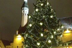 Estonia - Tallinn - Christmas market on the Town Hall Square