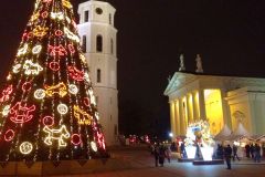 Lithuania - Vilnius - Christmas tree in front of the cathedral