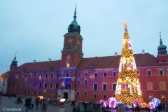 Poland - Warsaw (Warszawa) - Christmas tree in front of the Royal Castle