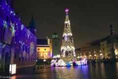 Poland - Warsaw (Warszawa) - Christmas tree in front of the Royal Castle