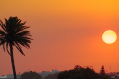 2014 Cyprus