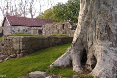 Hordaland - Kvinnherad - Halsnøy Kloster
