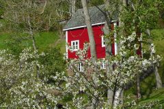 Hordaland - Ullensvang - Utne