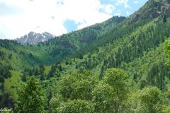 Kyrgyzstan - Chichkan river valley