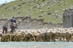 Kyrgyzstan - Töö Ashuu mountain pass