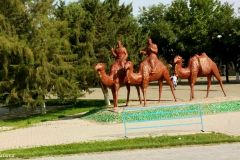 Uzbekistan - Samarkand - Fake camel caravan