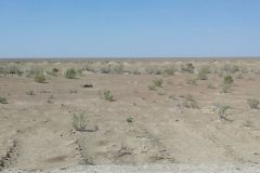 Uzbekistan - Kyzyl Kum Desert