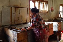 Bhutan - Thimphu - Handmade paper factory