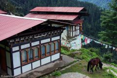 Bhutan - Thimphu - Tango Gompa Monastery