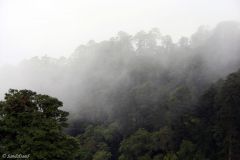 Bhutan - Dochula Pass