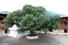 Bhutan - Punakha Dzong