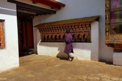 Bhutan - Punakha Valley - Chimi Lhakhang Temple