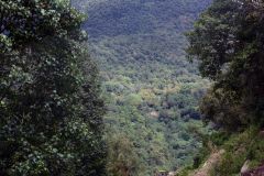 Bhutan - Punakha Valley