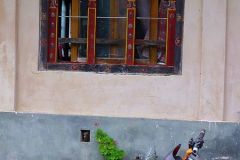 Bhutan - Punakha Valley - Nubding