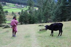 Bhutan - Phobjikha Valley
