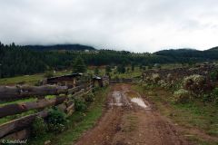 Bhutan - Phobjikha Valley