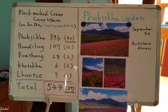 Bhutan - Phobjikha Valley - Black Necked Crane Information Centre
