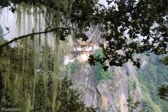 Bhutan - Taktsang Lhakhang (Tiger's Nest)
