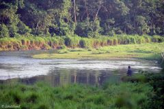 Nepal - Chitwan - Rapti River