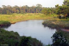 Nepal - Chitwan - Rapti River