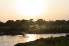 Nepal - Chitwan - Rapti River