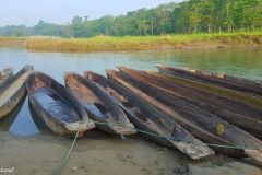 Nepal - Chitwan