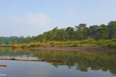 Nepal - Chitwan