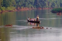 Nepal - Chitwan