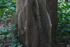 Nepal - Chitwan