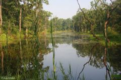 Nepal - Chitwan