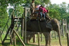 Nepal - Chitwan