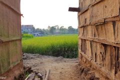 Nepal - Chitwan