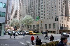 USA - New York - Waldorf Astoria