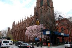 USA - New York - Brooklyn Heights