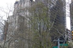 USA - New York - Madison Square Park