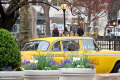 USA - New York - Madison Square Park