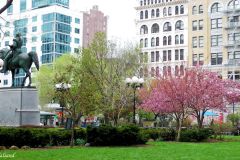 USA - New York - Union Square