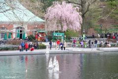 USA - New York - Central Park - Conservatory Water