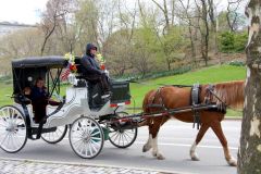 USA - New York - Central Park
