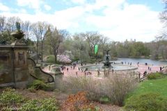 USA - New York - Central Park - Bethesda Terrace and Fountain