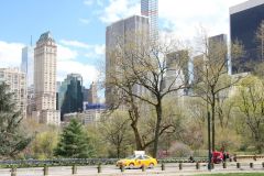 USA - New York - Central Park