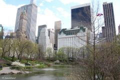 USA - New York - Central Park - The Pond and the Plaza