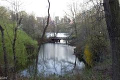 USA - New York - Central Park - Oak Bridge