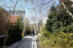 USA - New York - The High Line
